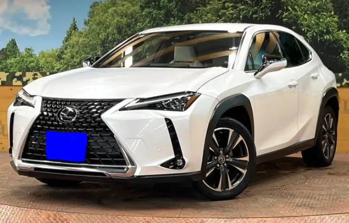 2020 Lexus UX — Front exterior