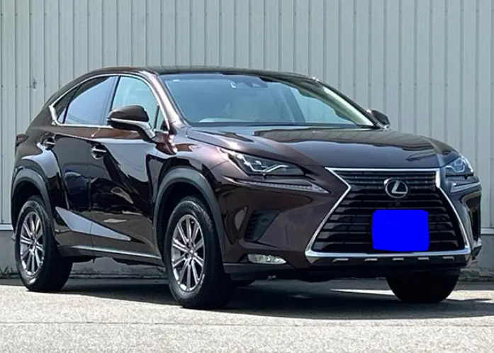 2018 Lexus NX — Front exterior
