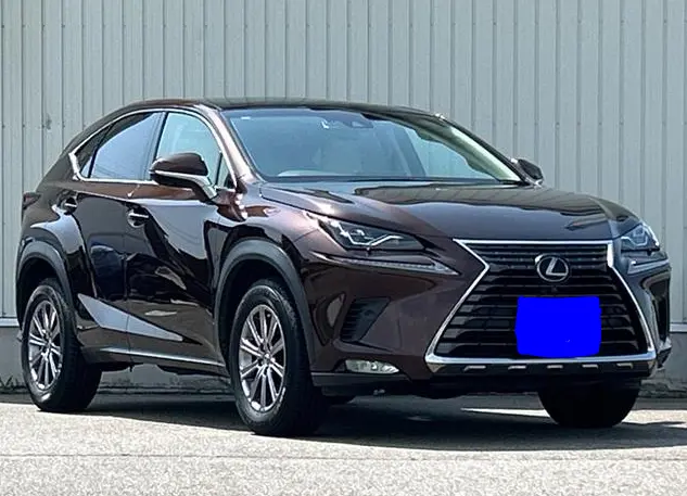 2018 Lexus NX — Front exterior