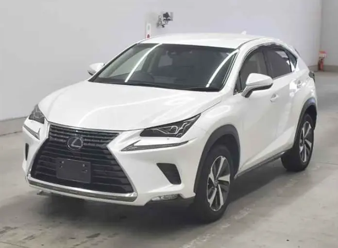 2018 Lexus NX — Front exterior