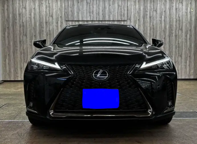 2020 Lexus UX — Front exterior