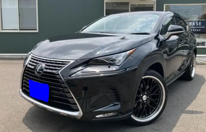 2018 Lexus NX — Front exterior