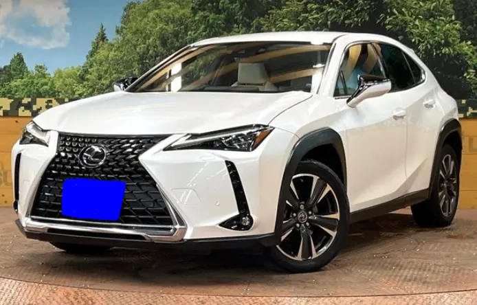 2020 Lexus UX — Front exterior