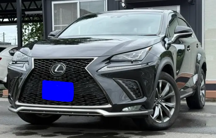 2018 Lexus NX — Front exterior