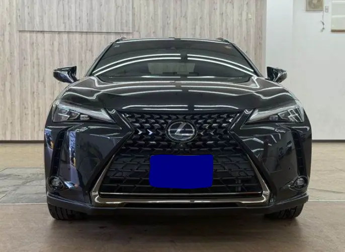 2020 Lexus UX — Front exterior