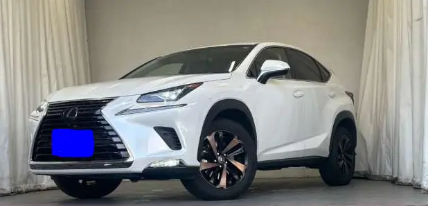 2018 Lexus NX — Front exterior