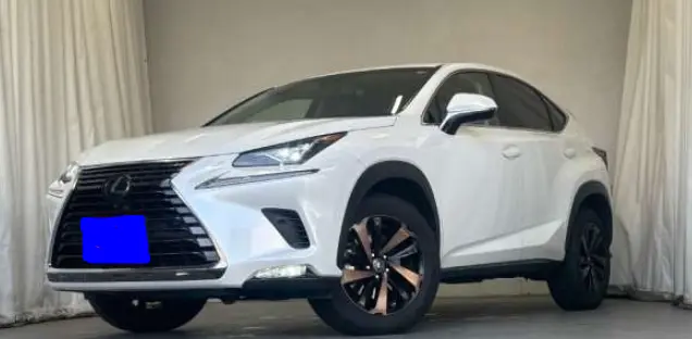 2018 Lexus NX — Front exterior