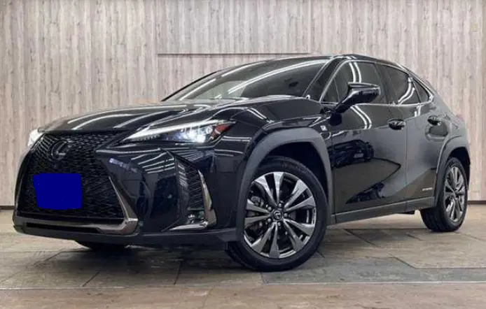 2020 Lexus UX — Front exterior