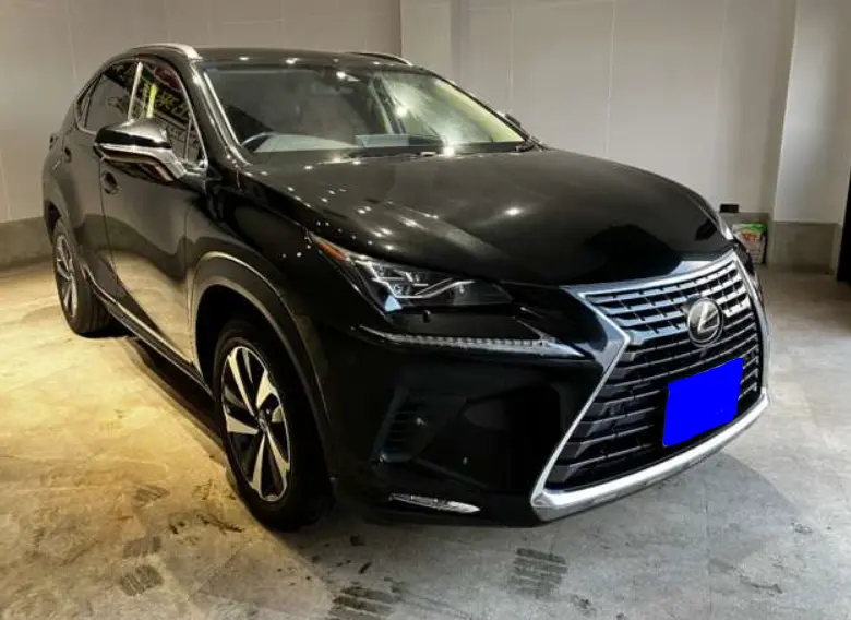 2018 Lexus NX — Front exterior